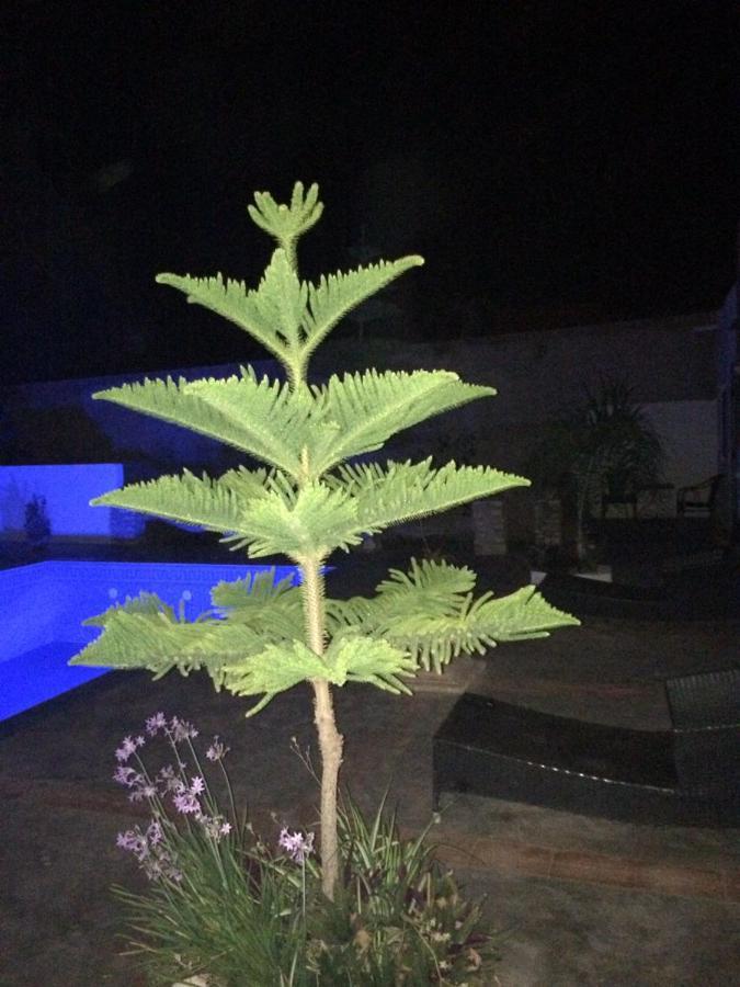 فيلا Chez Ali الصويرة المظهر الخارجي الصورة