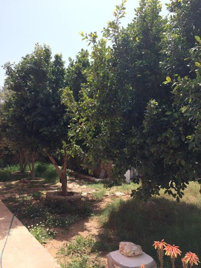 فيلا Chez Ali الصويرة المظهر الخارجي الصورة