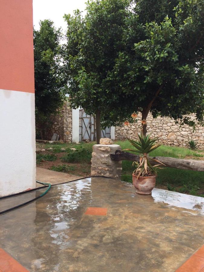 فيلا Chez Ali الصويرة المظهر الخارجي الصورة